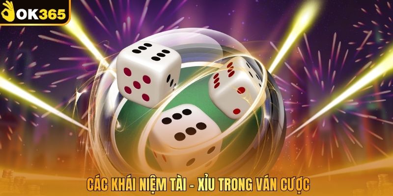 Các khái niệm Tài – Xỉu trong ván cược